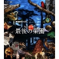 NHKスペシャル ホットスポット 最後の楽園 Blu-ray-BOX