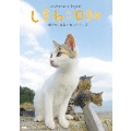 テレビ愛媛開局45周年記念 しまねこ日和 ～瀬戸内・青島のねこたち～ 2