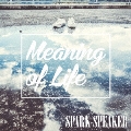 Meaning of Life [CD+DVD]<初回限定盤>