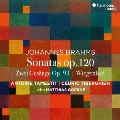 ブラームス: ヴィオラ・ソナタ第1番、第2番、2つの歌 Op.91、他