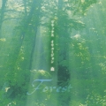 リラックス・イリュージョン FOREST～森～
