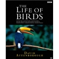 ライフ・オブ・バーズ/鳥の世界 DVD-BOX