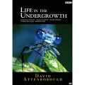 BBC ライフ・イン・ザ・アンダーグロウス 昆虫の世界 DVD-BOX（5枚組）