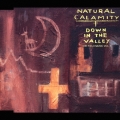 DOWN IN THE VALLY