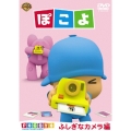 ぽこよ ふしぎなカメラ編