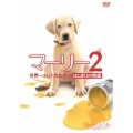 マーリー2 世界一おバカな犬のはじまりの物語 (前作「マーリー 世界一おバカな犬が教えてくれたこと＜特別編＞」付)＜初回生産限定版＞