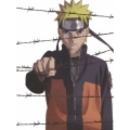 劇場版 NARUTO-ナルト- ブラッド・プリズン [DVD+2CD]＜完全生産限定版＞