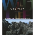 ワイルドライフ 進化の島 ガラパゴス ウミイグアナ 豊かな海に泳ぎ出せ