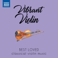 BEST LOVES Classical violin music 活気に満ちたヴァイオリン