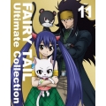 FAIRY TAIL Ultimate Collection Vol.11