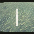 風の誘い
