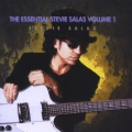 THE ESSENTIAL STEVIE SALAS VOL..1