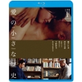 愛の小さな歴史 誰でもない恋人たちの風景vol.1＜廉価版＞