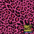 NUTS THE ANIMAL