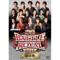 麻雀BATTLE ROYAL 2014 副将戦