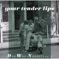 【ユア・テンダー・リップス】～ドゥー・ワップ・ナゲッツ VOL.2