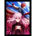 劇場版「Fate/stay night [Heaven's Feel]」 III.spring song＜通常版＞