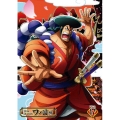 ONE PIECE ワンピース 20THシーズン ワノ国編 PIECE.17