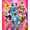 新スーパーヒロイン図鑑 スーパー戦隊2002-2006編[ハリケンジャー～ボウケンジャー]