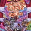 Bewitching Circus With Dream
