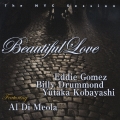 ビューティフル・ラヴ～ザ・NYC・セッション feat.アル・ディ・メオラ