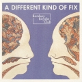 ア・ディファレント・カインド・オブ・フィックス