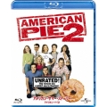 アメリカン・サマー・ストーリー アメリカン・パイ2