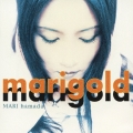 marigold