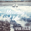 Meaning of Life [CD+DVD]＜初回限定盤＞