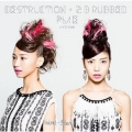 DESTRUCTION + 2 B rubbed PL4E edition (U.S.A.盤)