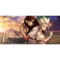 Dr.STONE ドクターストーン 2nd SEASON DVD BOX