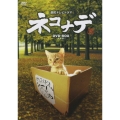 連続テレビドラマ ネコナデ DVD-BOX（4枚組）