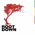 ROOTDOWN