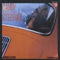 DANDY STEERING
