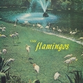 フラミンゴス＜限定盤＞