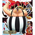 ONE PIECE ワンピース 20THシーズン ワノ国編 PIECE.9