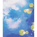 Nornis 1st LIVE Transparent Blue