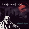 アンダー・ア・ワイルド・スカイ