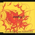 monkey-7