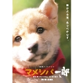 連続テレビドラマ マメシバ一郎 DVD-BOX
