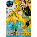 ジョジョの奇妙な冒険 第3部 スターダストクルセイダース 総集編 Vol.4