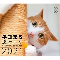 2021カレンダー ネコまる 週めくり