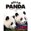 HELLO PANDA アドベンチャーワールドのパンダたち