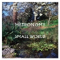 Small World<Transparent Vinyl/限定盤>