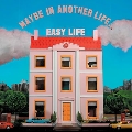 Maybe In Another Life (Standard Vinyl)