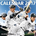 卓上 阪神タイガース 2017 カレンダー