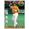 坂本勇人(読売ジャイアンツ) カレンダー 2025