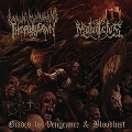 Guided By Vengeance & Bloodlust