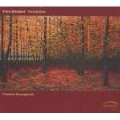 シューベルトの「秋」 - 楽興の時, 即興曲集 D.935, グラーツの舞曲
