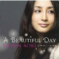 A Beautiful Day Cover & Standard Vol. 2